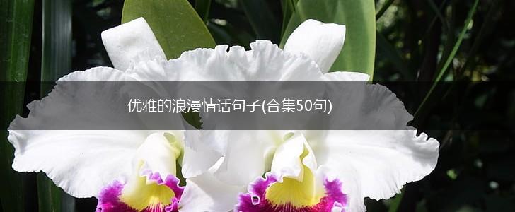 优雅的浪漫情话句子(合集50句),第1张