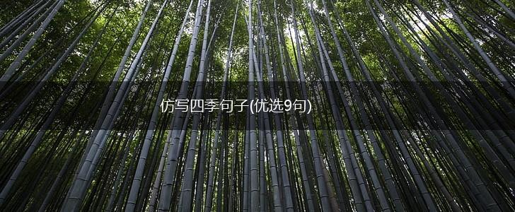 仿写四季句子(优选9句),第1张