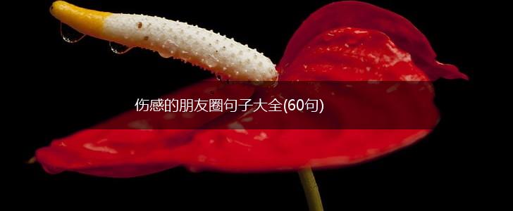 伤感的朋友圈句子大全(60句),第1张