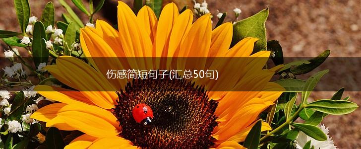 伤感简短句子(汇总50句),第1张