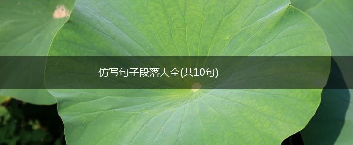 仿写句子段落大全(共10句),第1张