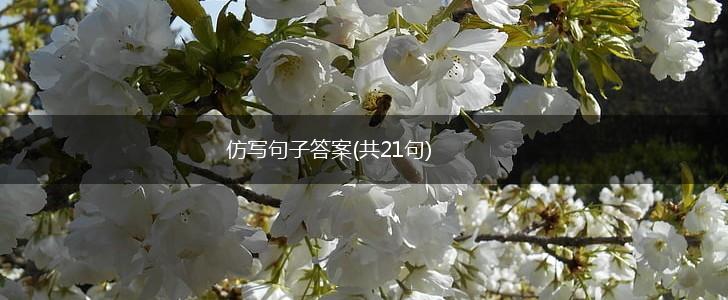 仿写句子答案(共21句),第1张
