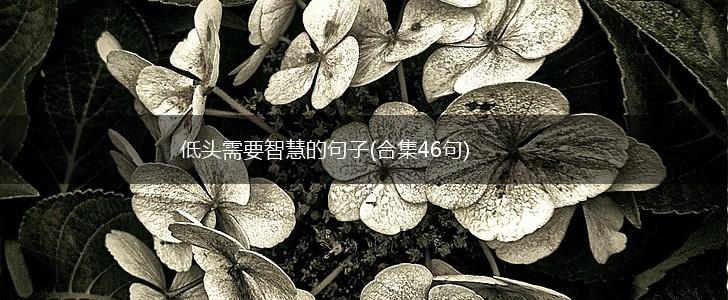 低头需要智慧的句子(合集46句),第1张