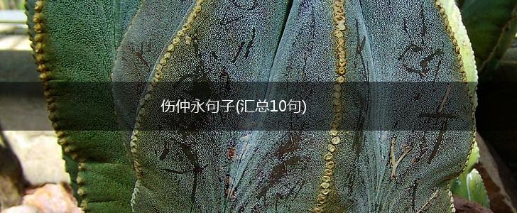 伤仲永句子(汇总10句),第1张