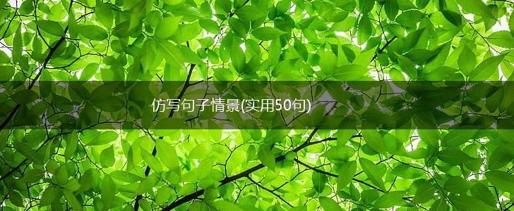 仿写句子情景(实用50句),第1张