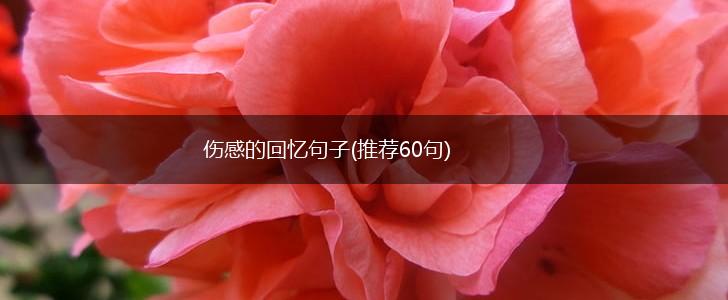 伤感的回忆句子(推荐60句),第1张