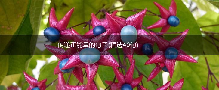 传递正能量的句子(精选40句),第1张