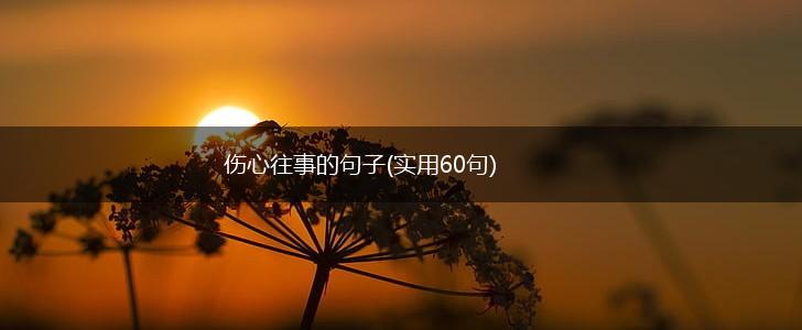 伤心往事的句子(实用60句),第1张