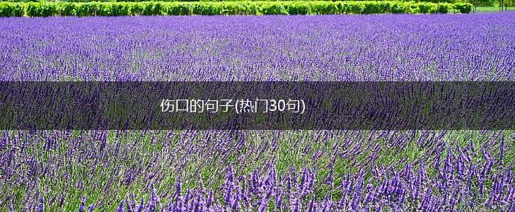 伤口的句子(热门30句),第1张