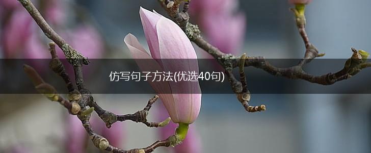 仿写句子方法(优选40句),第1张