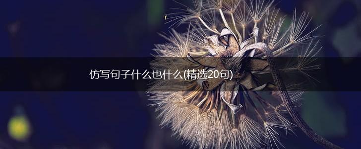 仿写句子什么也什么(精选20句),第1张
