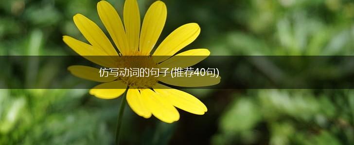 仿写动词的句子(推荐40句),第1张