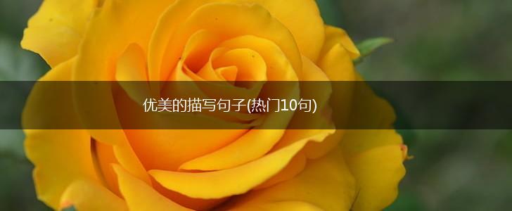 优美的描写句子(热门10句),第1张