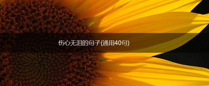伤心无泪的句子(通用40句),第1张