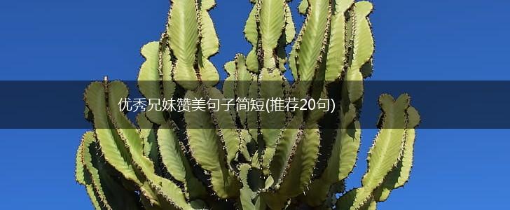 优秀兄妹赞美句子简短(推荐20句),第1张