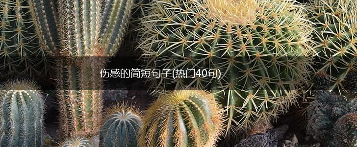伤感的简短句子(热门40句),第1张