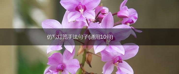 仿写灯笼手法句子(通用10句),第1张