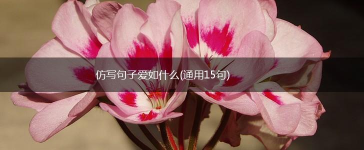 仿写句子爱如什么(通用15句),第1张