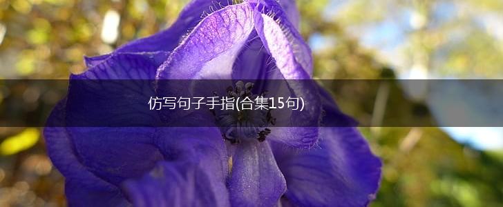 仿写句子手指(合集15句),第1张