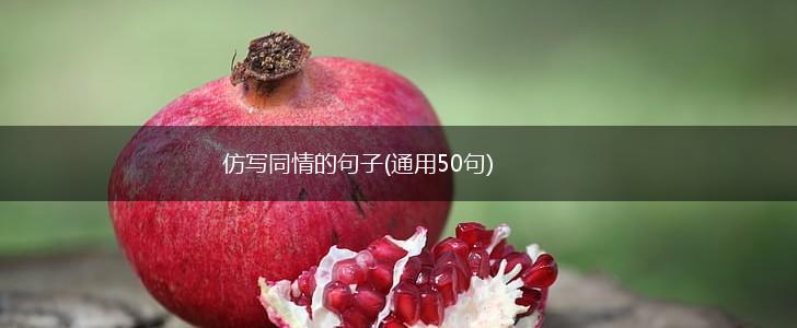 仿写同情的句子(通用50句),第1张