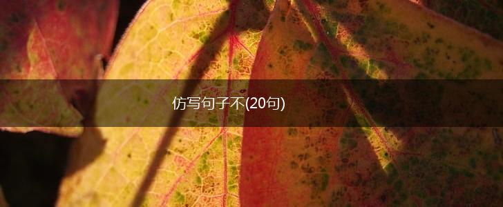 仿写句子不(20句),第1张
