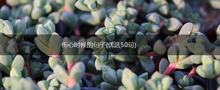 伤心时候的句子(优选50句),第1张