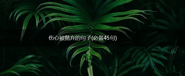 伤心被抛弃的句子(必备45句),第1张