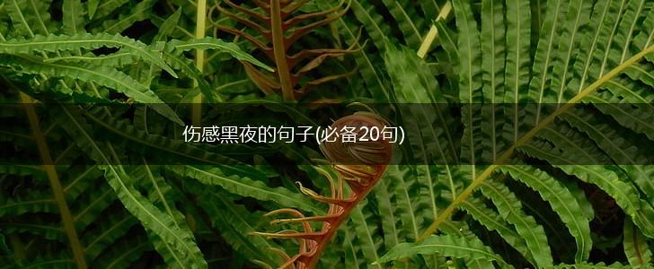 伤感黑夜的句子(必备20句),第1张