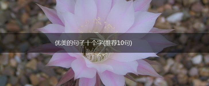 优美的句子十个字(推荐10句),第1张