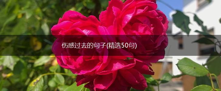 伤感过去的句子(精选50句),第1张