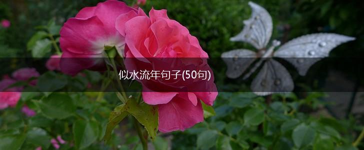 似水流年句子(50句),第1张