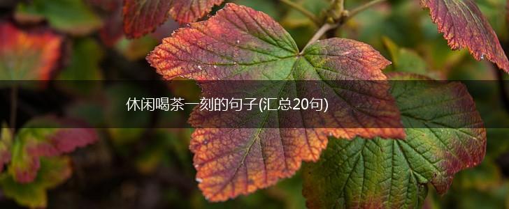 休闲喝茶一刻的句子(汇总20句),第1张