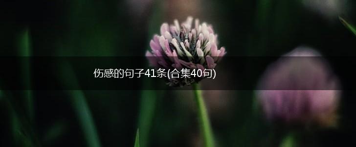 伤感的句子41条(合集40句),第1张