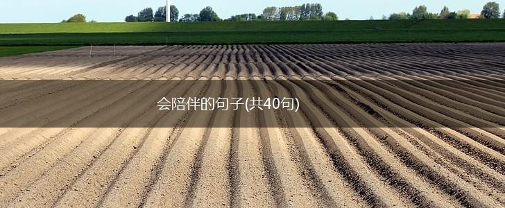 会陪伴的句子(共40句),第1张