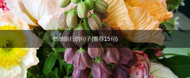 伤感旅行的句子(推荐15句),第1张