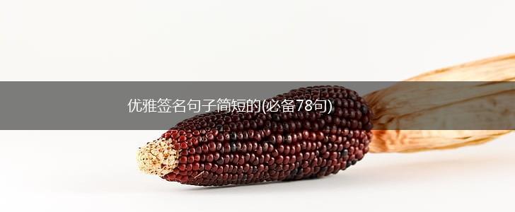 优雅签名句子简短的(必备78句),第1张