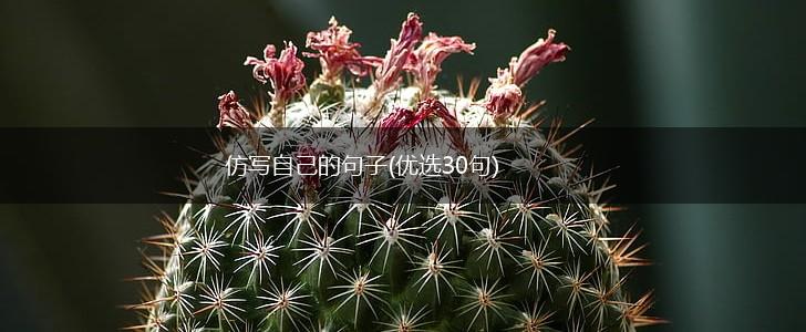 仿写自己的句子(优选30句),第1张