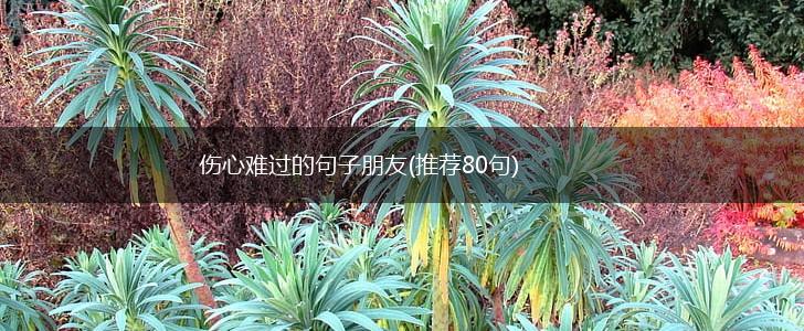 伤心难过的句子朋友(推荐80句),第1张