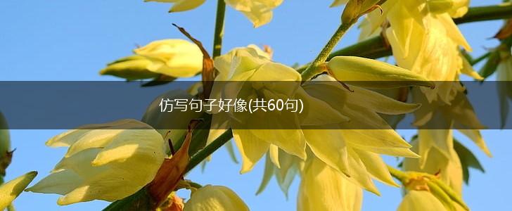 仿写句子好像(共60句),第1张