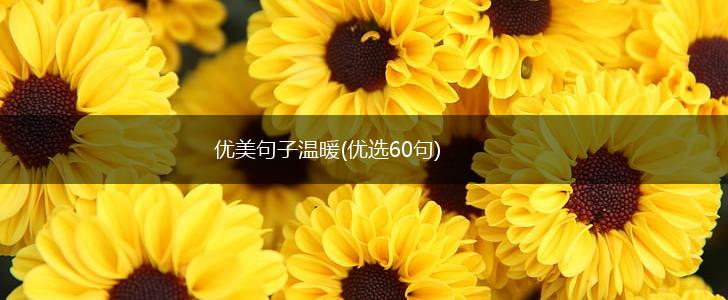 优美句子温暖(优选60句),第1张