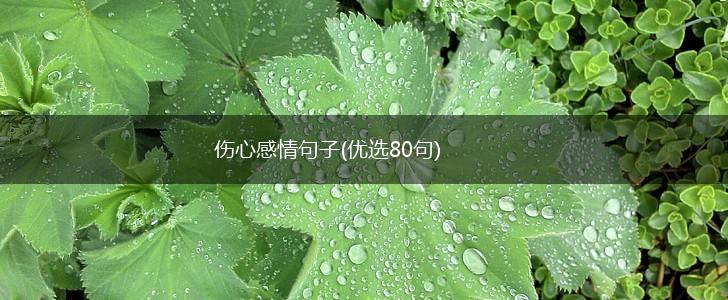 伤心感情句子(优选80句),第1张