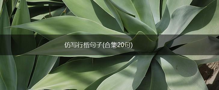 仿写行楷句子(合集20句),第1张