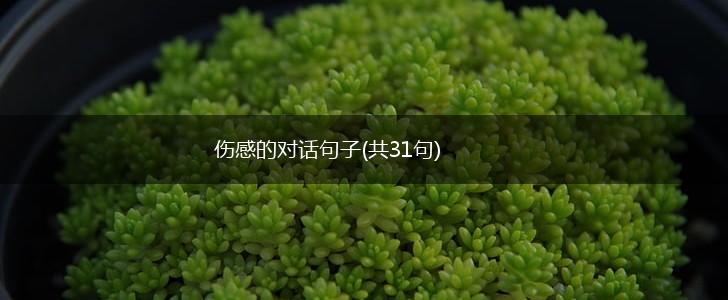 伤感的对话句子(共31句),第1张