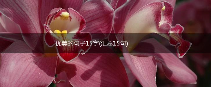 优美的句子15字(汇总15句),第1张