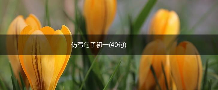 仿写句子初一(40句),第1张