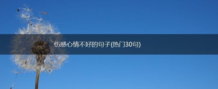 伤感心情不好的句子(热门30句),第1张