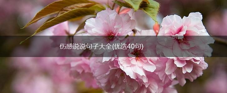 伤感说说句子大全(优选40句),第1张