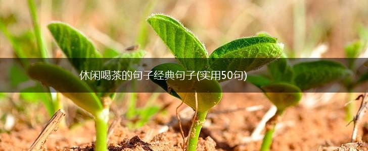 休闲喝茶的句子经典句子(实用50句),第1张