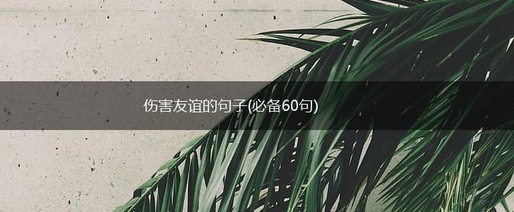 伤害友谊的句子(必备60句),第1张