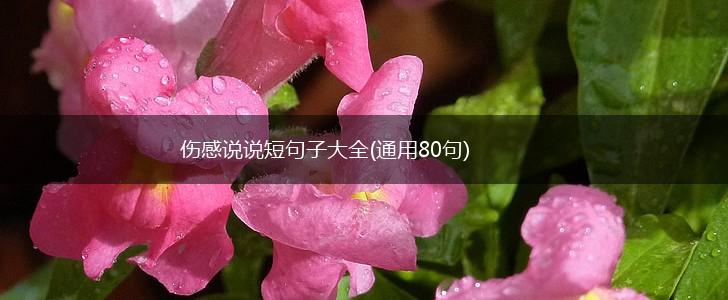 伤感说说短句子大全(通用80句),第1张